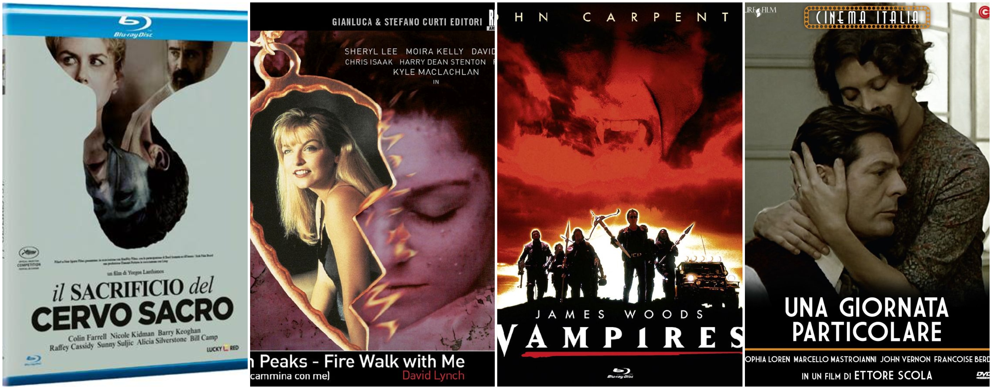 Prodotti home video CG Entertainment mese di novembre