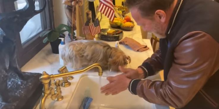 Arnold Schwarzenegger e il video con la sua cagnolina su come lavarsi le mani per il Coronavirus