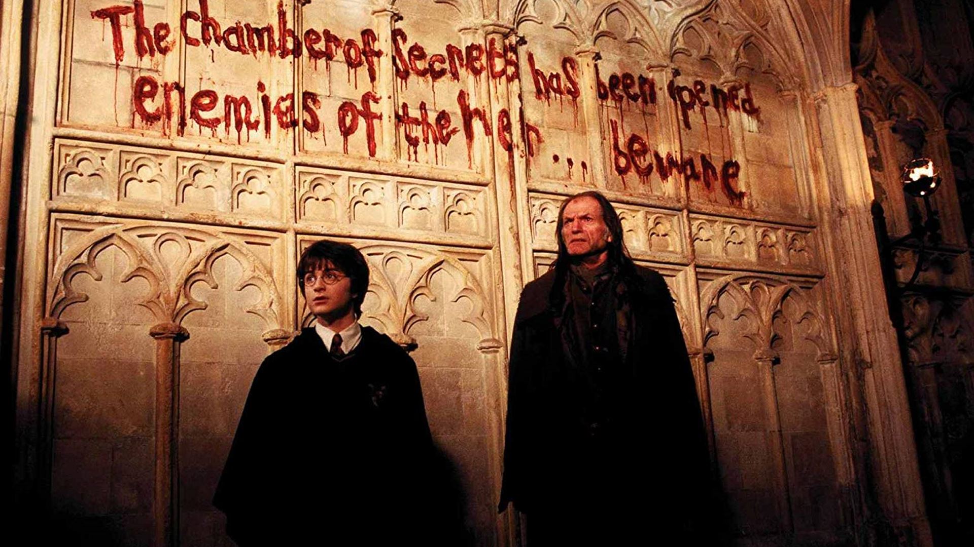Harry Potter e la Camera dei Segreti: tutte le curiosità