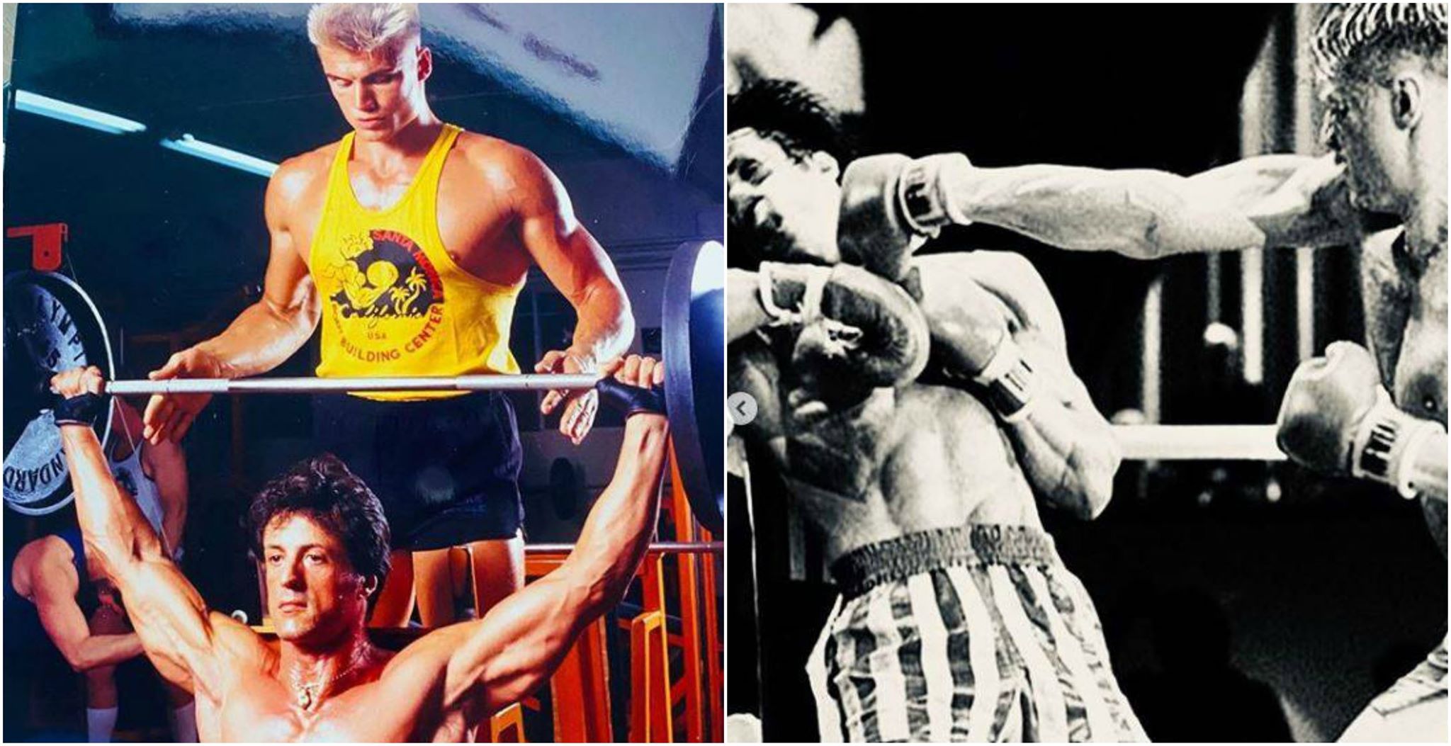 Stallone ricorda gli allenamenti con Dolph Lundgren e “il migliore combattimento nella storia del cinema”