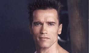 Arnold Schwarzenegger: il nuovo progetto come protagonista di una serie TV