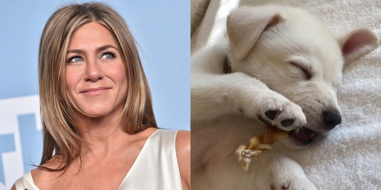 Jennifer Aniston presenta il suo nuovo tenerissimo cagnolino: “Mi ha rubato il cuore”