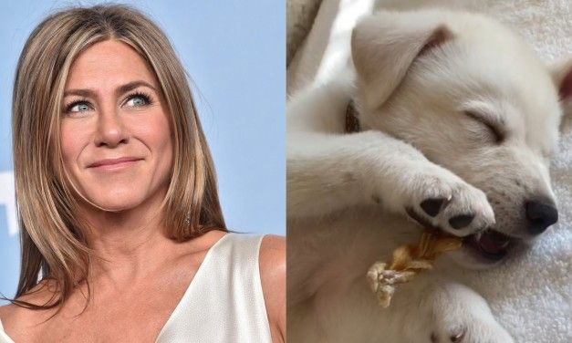 Jennifer Aniston presenta il suo nuovo tenerissimo cagnolino: “Mi ha rubato il cuore”