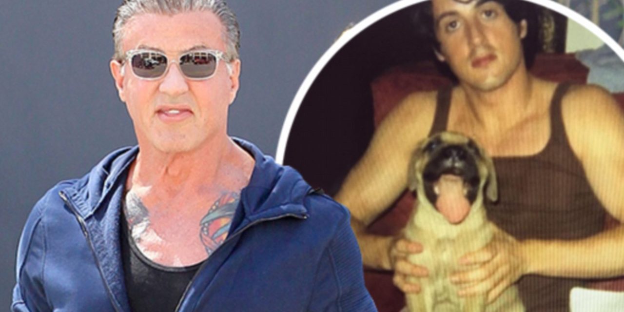 Stallone ricorda sui social quando scriveva la sceneggiatura di Rocky insieme al cane “Butkus”