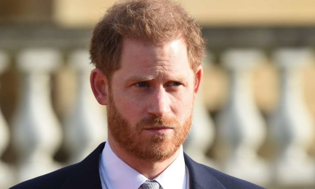 Il principe Harry sul passato a Corte: “La mia vita è come un mix tra il Truman Show e il vivere in uno zoo”