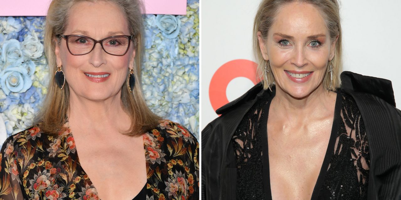 Sharon Stone su Meryl Streep: “Perché solo lei dev’essere quella brava? Ci sono altre attrici brave quanto lei”