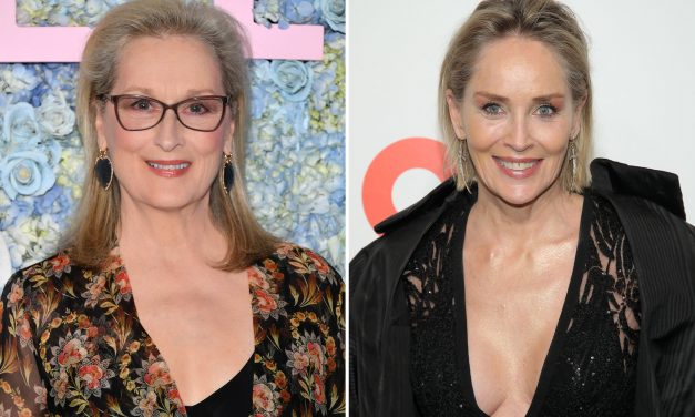 Sharon Stone su Meryl Streep: “Perché solo lei dev’essere quella brava? Ci sono altre attrici brave quanto lei”
