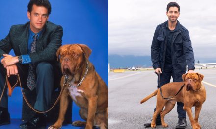 Turner e il Casinaro: trailer e data d’uscita della serie ispirata al cult anni ’80 con Tom Hanks