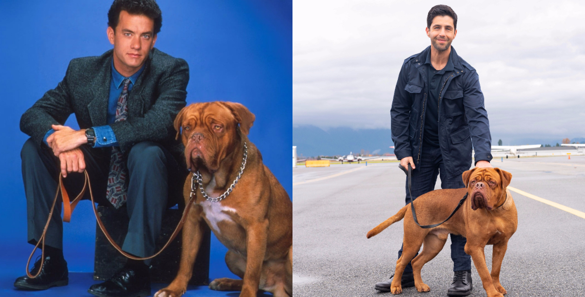 Turner e il Casinaro: trailer e data d’uscita della serie ispirata al cult anni ’80 con Tom Hanks