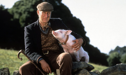 Babe, maialino coraggioso: sul set furono usati 48 maialini diversi, James Cromwell divenne vegano e l’impatto animalista