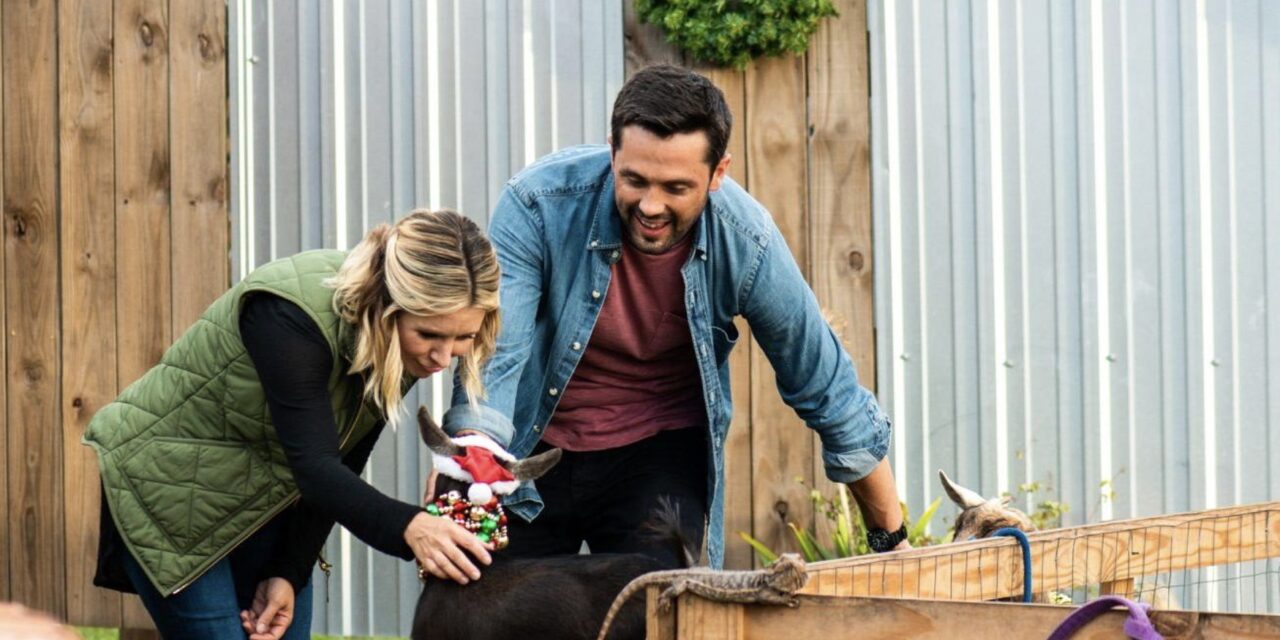 La tradizione del Natale, le curiosità