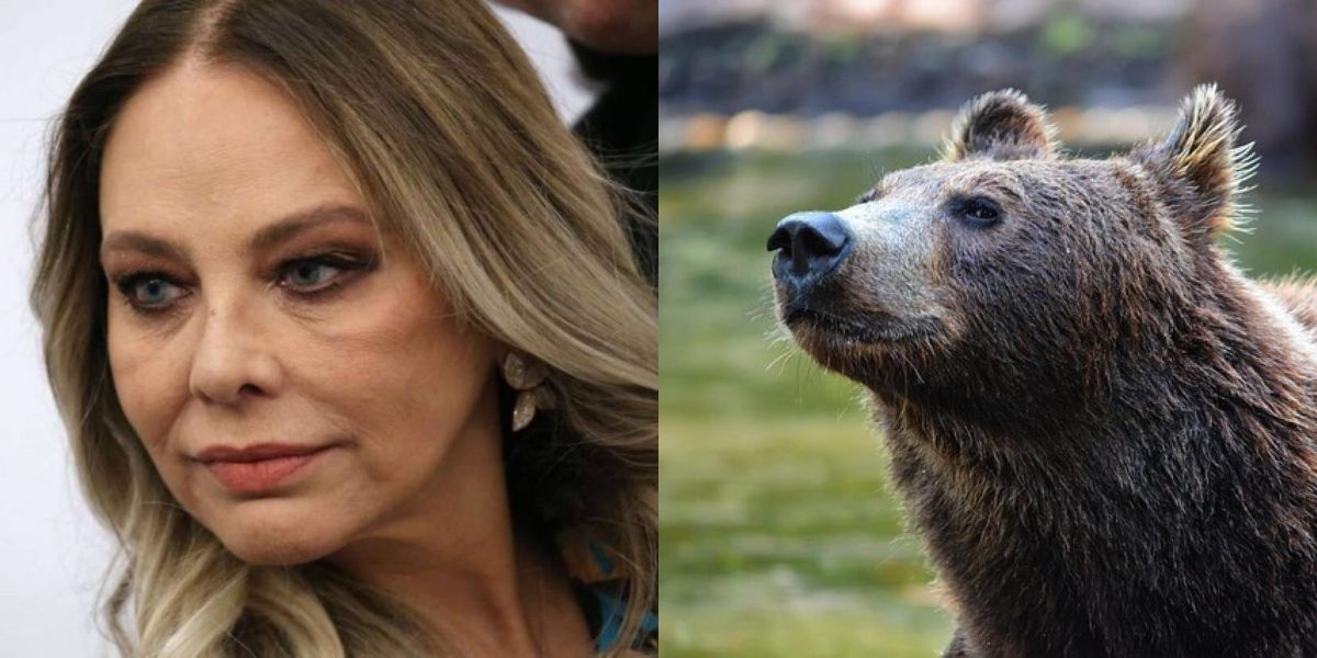 Ornella Muti: «Giù le mani dall’orsa Jj4. Assurdo che venga uccisa solo perché ha fatto l’animale»