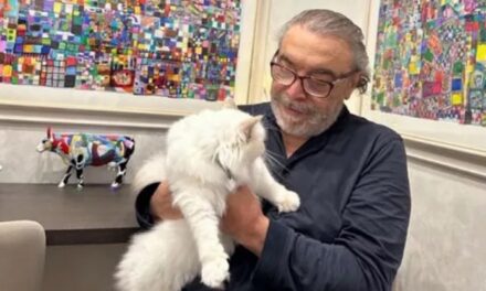 Nino Frassica perde il gatto a Spoleto, la città si mobilità: “Il mio gatto Hiro non si trova, suo fratello Cookie non mangia da giorni e piange”