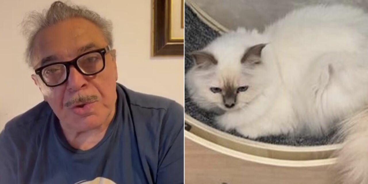 Scomparsa del gatto di Nino Frassica, indagate la moglie dell’attore e la figlia della donna