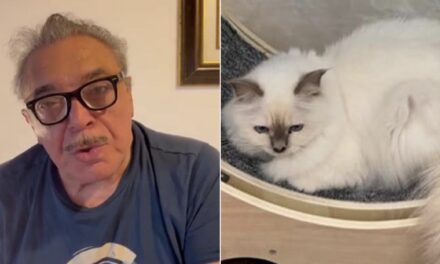 Scomparsa del gatto di Nino Frassica, indagate la moglie dell’attore e la figlia della donna