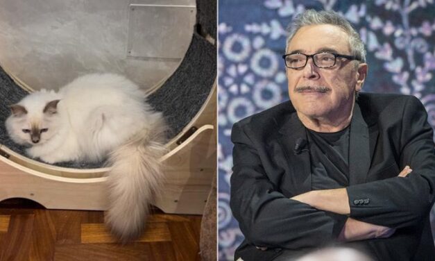 Nino Frassica denunciato per diffamazione dopo la scomparsa del gatto. L’avvocato delle famiglie: “Sono famiglie dell’alta borghesia che la stanno pagando cara”
