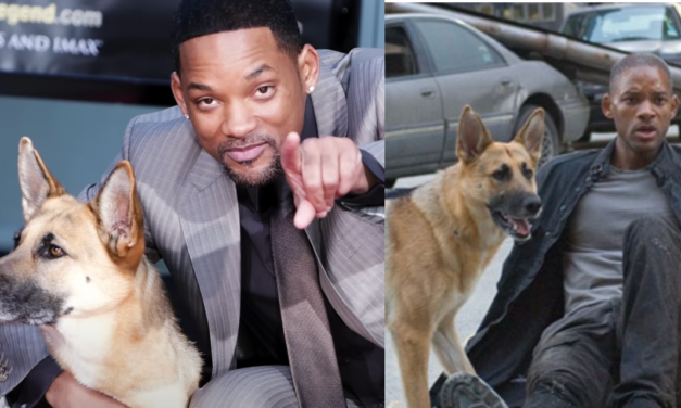 Io sono leggenda, Will Smith voleva adottare il cane: “Era come se parlasse inglese, le potevi chiedere di portarti il telefono e lo faceva, riusciva a capirti”
