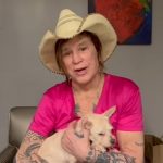 Mickey Rourke rifiuta la beneficenza: bufera sulla raccolta fondi per l’affitto e la replica della manager