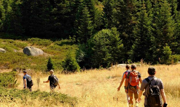 Gite fuori porta: con la bella stagione cresce la voglia di outdoor su Wallapop
