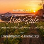 Mar Sale: il Mediterraneo nel bicchiere visto dallo Stagnone
