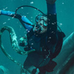 Whalefall: nella Balena, trailer e data di uscita